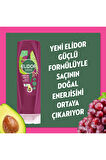 Elidor Doğanın Enerjisi Şampuan Avokado ve Üzüm Çekirdeği Yağı 400 ml + Saç Bakım Kremi 350 ml