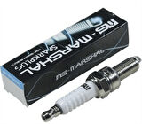 Umt Buji Yamaha Dt 50
