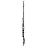 SILVER SFL-190ES Gümüş Kaplama C Flüt (Case Dahil)