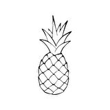 Ananas Metal Duvar Tablosu 20*40 CM