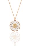 Gümüş rose zirkon taşlı papatya kolye 