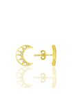 Gümüş altın yaldızlı zirkon taşlı hilal küpe SGTL12263GOLD