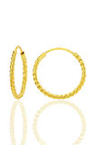 Gümüş altın yaldızlı 18 mm sık burgu halka küpe SGTL12752GOLD