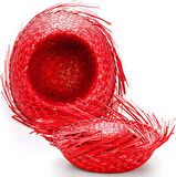 Tropikal Parti Kırmızı Hasır Hawaii Şapkası