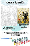 Sayılarla Boyama Seti Numaralı Tuval Fırça Boya 40x50 Cm SİYAH-BEYAZ KEDİ