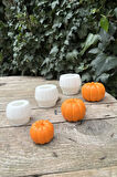 Pumpkin Üçlü Set Mum Kalıpları (Silikon) (3 Adet)