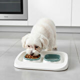 Leyloş Yeşil 2'si 1 Arada Mama Ve Su Kabı