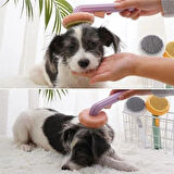 Leyloş Plastik Yeşil Evcil Hayvan Bakım  Pet Fırçası Çok Amaçlı Pet Fırçası Yeşil