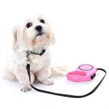 Otomatik Uzayan Köpek Tasması 3 Metre