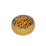 Leyloş Organik Seramik Mama Kabı Sarı