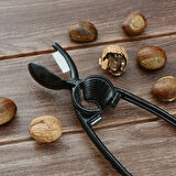 2'si 1 Arada Kestane Çizici Ve Ceviz Kıracağı