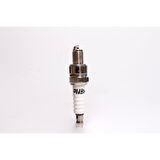 Falcon Buji Cub A7Tc Marshall