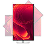 P3225DE 31.5'' 5ms WQHD Type-C Pivot IPS