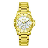 Slazenger SL.09.2406.4.08 Kadın Kol Saati | Işıltılı Taşlı Kadran & Altın Sarısı Spor Şıklık