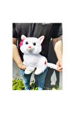 Sevimli Tatlı Peluş Kedi Büyük Boy