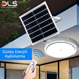 100W Güneş Enerjili Solar Bahçe Çevre  Lambası DLS