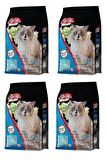 Energy Somonlu Kısırlaştırılmış Kedi Maması 1 Kg - 4 Adet