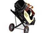 Dekoratif Metal Golf Arabası Golf Vintage Ev Ofis Dekoratif Hediyelik
