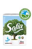 Sofia Ecording Mutfak Kağıt Havlusu 12'li X 2 Adet