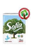 Sofia Ecording Mutfak Kağıt Havlusu 12'li X 2 Adet