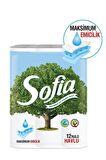 Sofia Ecording Mutfak Kağıt Havlusu 12'li X 2 Adet