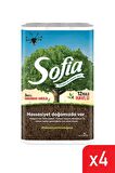 Sofia Kağıt Havlu 3 Katlı 12'li 4'lü Paket