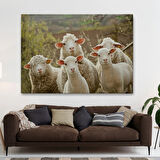 Koyun Kuzu, Hayvan Temalı Dekoratif Kanvas Tablo, Duvar Dekoru 1119