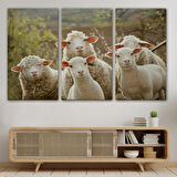 Koyun Kuzu, Hayvan Temalı Dekoratif Kanvas Tablo, Duvar Dekoru 1119