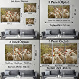 Koyun Kuzu, Hayvan Temalı Dekoratif Kanvas Tablo, Duvar Dekoru 1119