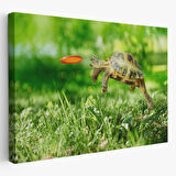 Zıplayan Kaplumbağa, Hayvan Temalı Dekoratif Kanvas Tablo, Duvar Dekoru 1122