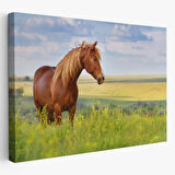 Manzara ve At, Hayvan Temalı Dekoratif Kanvas Tablo, Duvar Dekoru 1131
