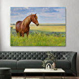 Manzara ve At, Hayvan Temalı Dekoratif Kanvas Tablo, Duvar Dekoru 1131