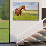 Manzara ve At, Hayvan Temalı Dekoratif Kanvas Tablo, Duvar Dekoru 1131