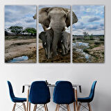Fil ve Yavruları, Hayvan Temalı Dekoratif Kanvas Tablo, Duvar Dekoru 1134