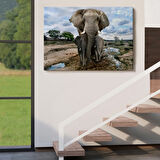 Fil ve Yavruları, Hayvan Temalı Dekoratif Kanvas Tablo, Duvar Dekoru 1134