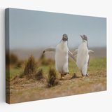 Mutlu Yavru Penguenler, Hayvan Temalı Dekoratif Kanvas Tablo, Duvar Dekoru 1152
