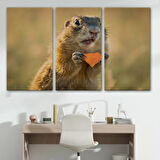 Şaşkın Sincap, Hayvan Temalı Dekoratif Kanvas Tablo, Duvar Dekoru 1158