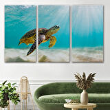Caretta Caretta, Hayvan Temalı Dekoratif Kanvas Tablo, Duvar Dekoru 1174