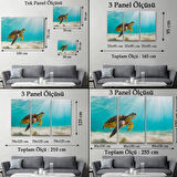 Caretta Caretta, Hayvan Temalı Dekoratif Kanvas Tablo, Duvar Dekoru 1174