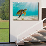 Caretta Caretta, Hayvan Temalı Dekoratif Kanvas Tablo, Duvar Dekoru 1174