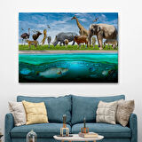 Hayvanlar Alemi, Hayvan Temalı Dekoratif Kanvas Tablo, Duvar Dekoru 1177