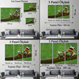 Küçük Kurbağalar, Hayvan Temalı Dekoratif Kanvas Tablo, Duvar Dekoru 1179