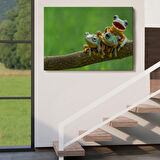 Küçük Kurbağalar, Hayvan Temalı Dekoratif Kanvas Tablo, Duvar Dekoru 1179