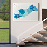 İl ve İlçeler Haritası Mersin, Modern Dekoratif Kanvas Tablo, Duvar Dekoru 1420