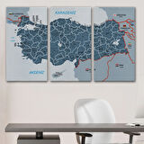 Komşulu İl ve İlçe Detaylı Türkiye Haritası, Harita Dekoratif Kanvas Tablo, Duvar Dekoru 3009