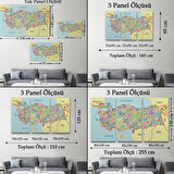 Komşulu İl ve İlçe Detaylı Türkiye Haritası, Harita Dekoratif Kanvas Tablo, Duvar Dekoru 3016