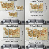 Komşu Ülkeler İl ve İlçe Detaylı Türkiye Haritası Dekoratif Kanvas Tablo, Duvar Dekoru 3020