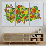 Eğitici İl ve İlçe Detaylı Türkiye Haritası, Harita Dekoratif Kanvas Tablo, Duvar Dekoru 3027