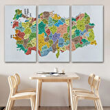 Eğitici İl ve İlçe Detaylı Türkiye Haritası, Harita Dekoratif Kanvas Tablo, Duvar Dekoru 3034