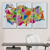 Eğitici İl ve İlçe Detaylı Türkiye Haritası, Harita Dekoratif Kanvas Tablo, Duvar Dekoru 3036
